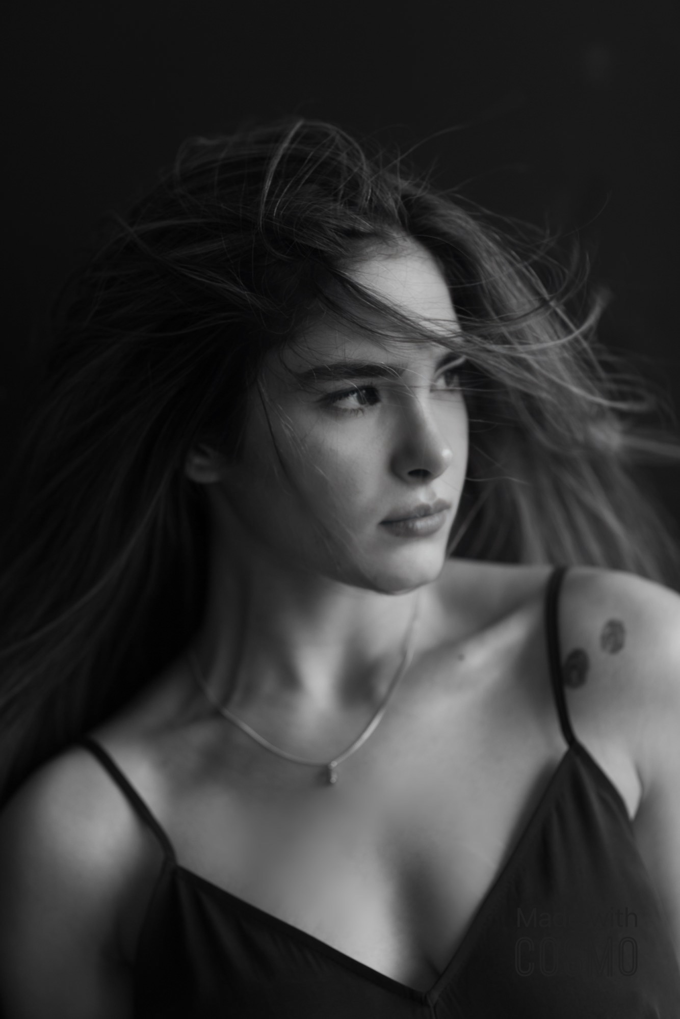 Biography Pose